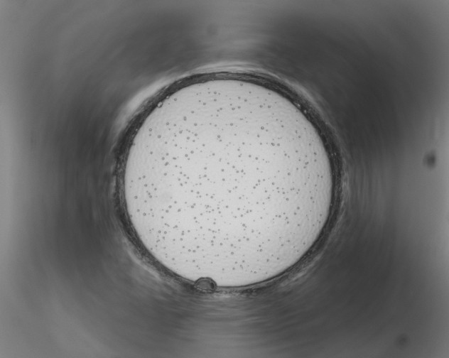 X0000116151406201001041044