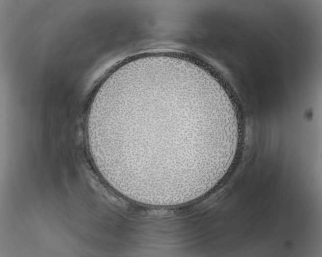 X0000116151407201001041044