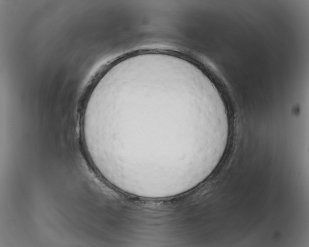 X0000116151408201001041044