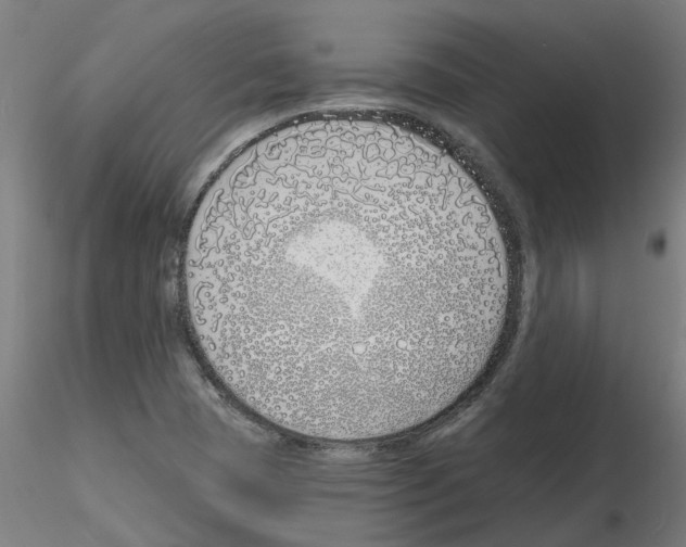 X0000116151409201001041044