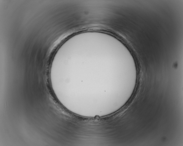 X0000116151410201001041044