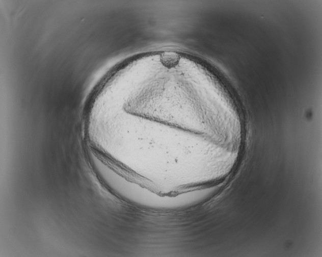 X0000116151414201001041044