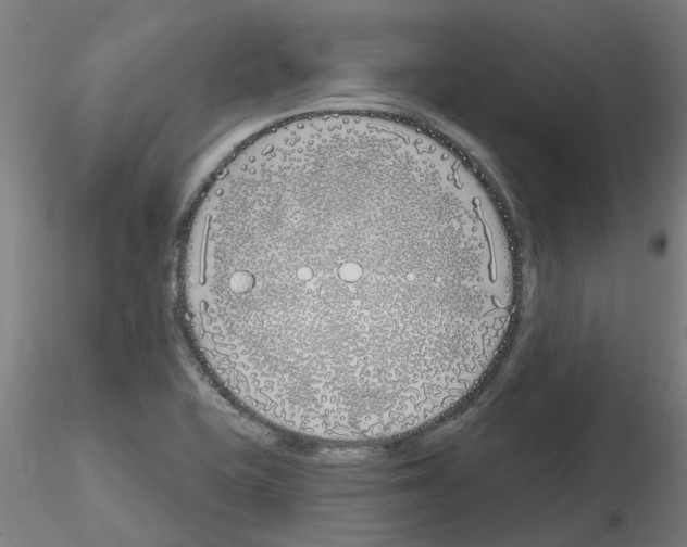 X0000116151415201001041044