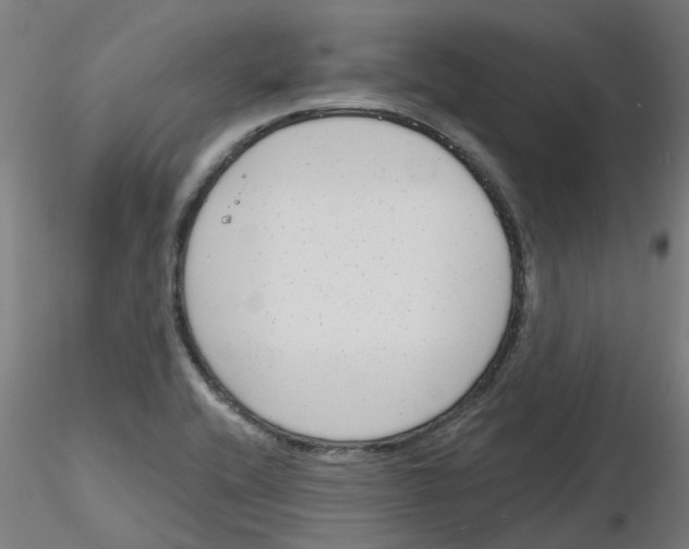 X0000116151416201001041044