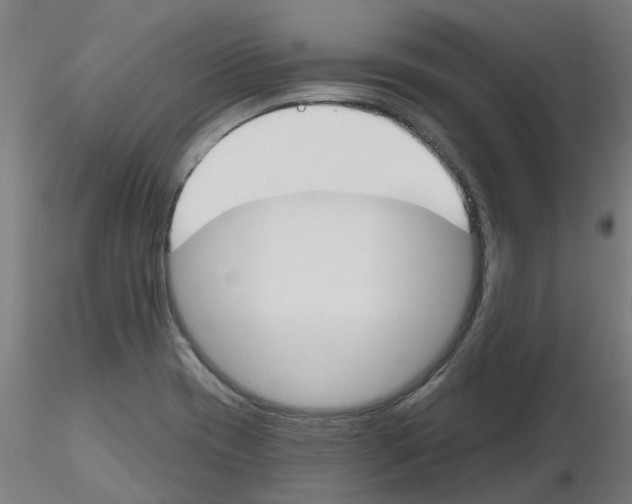 X0000116151417201001041044