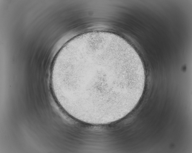 X0000116151418201001041044