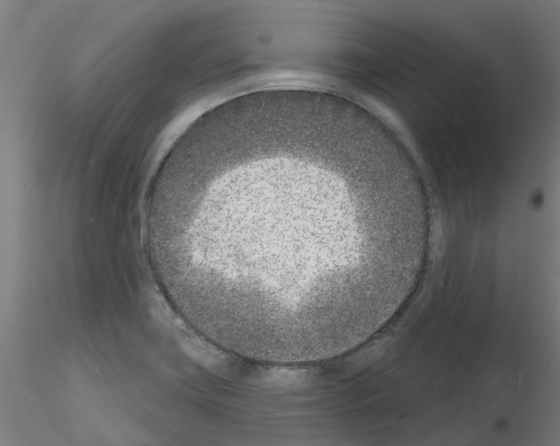 X0000116151419201001041044