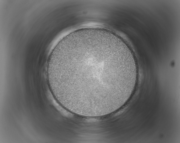 X0000116151421201001041044