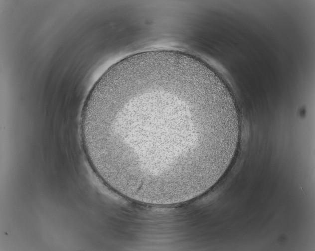 X0000116151423201001041044