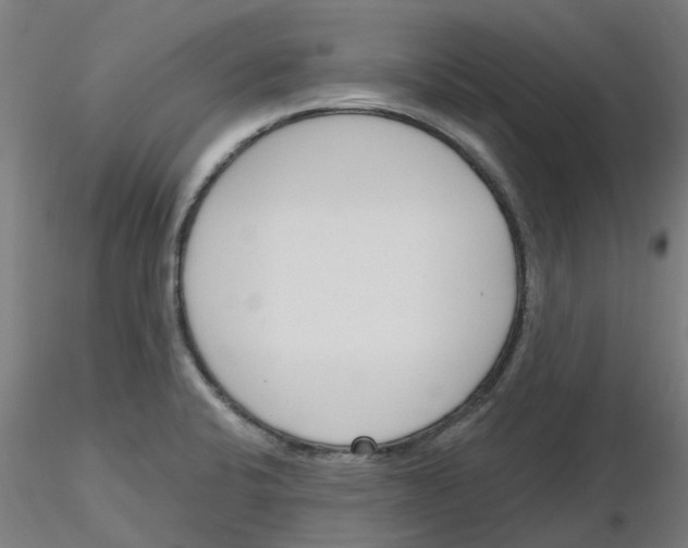 X0000116151424201001041044