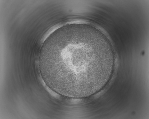 X0000116151425201001041044