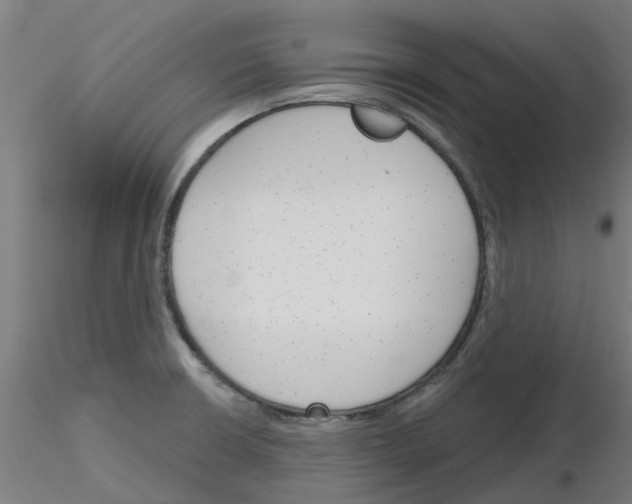 X0000116151426201001041044