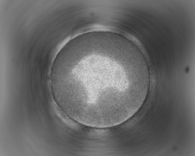 X0000116151427201001041044