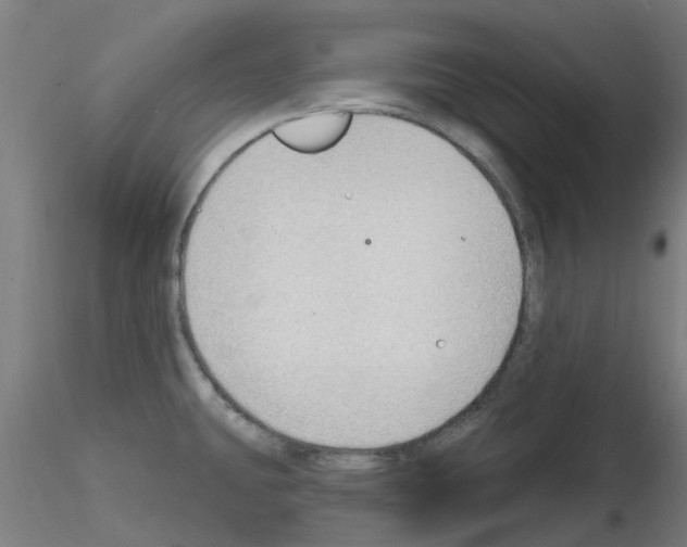 X0000116151431201001041044