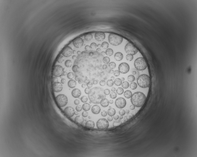 X0000116151432201001041044