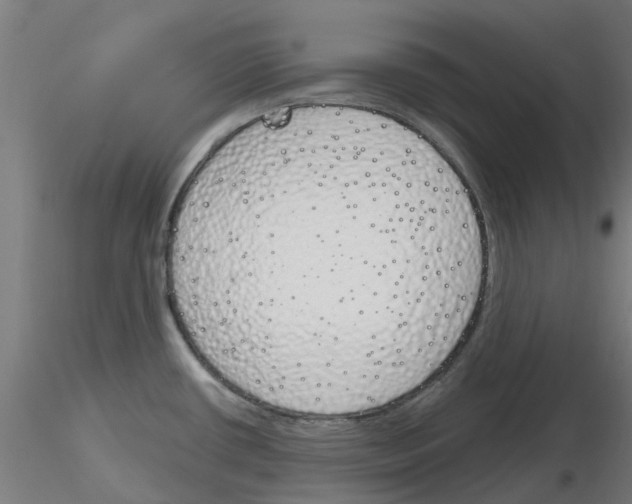 X0000116151434201001041044