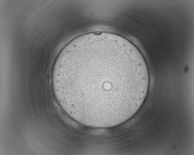 X0000116151435201001041044