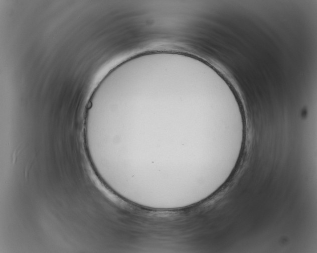 X0000116151437201001041044