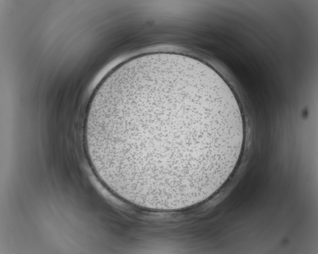 X0000116151438201001041044