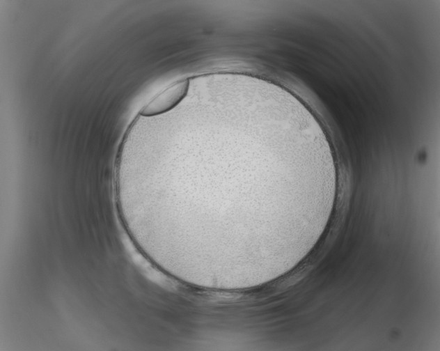 X0000116151439201001041044