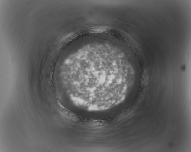 X0000116151441201001041043