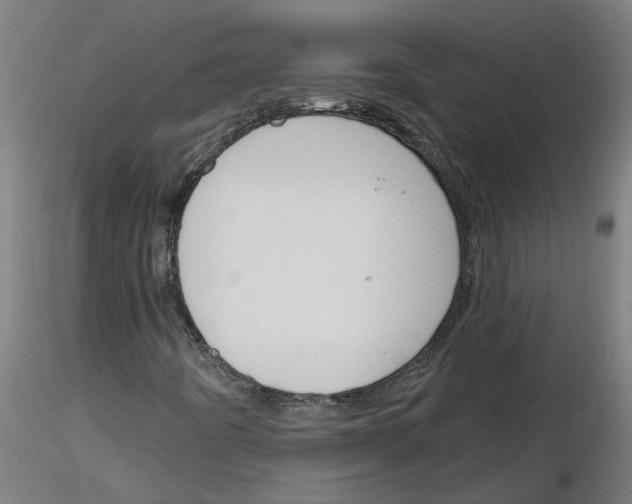 X0000116151442201001041043