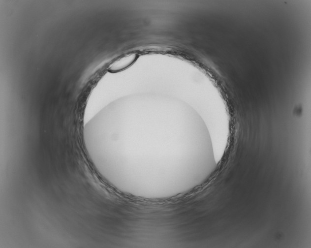 X0000116151448201001041043