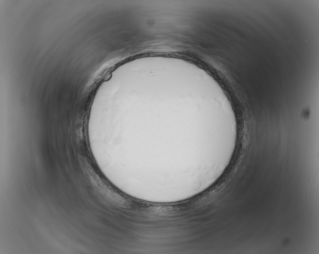 X0000116151451201001041043