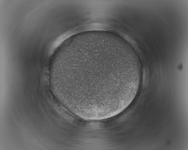 X0000116151453201001041043