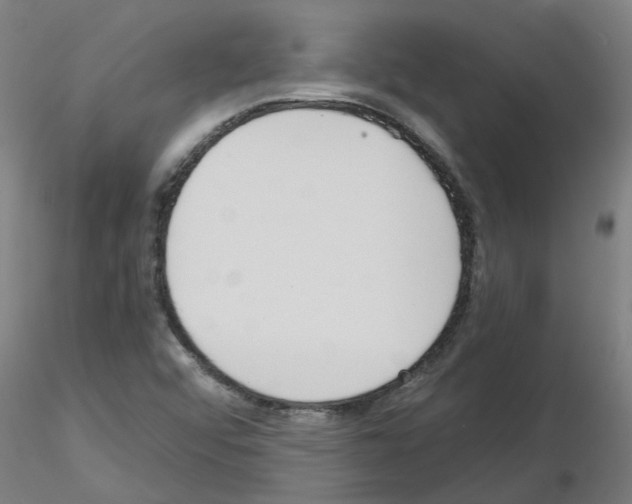 X0000116151456201001041043