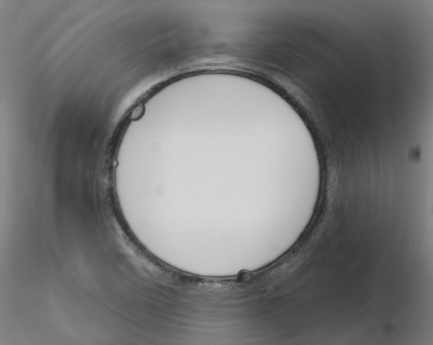 X0000116151458201001041043