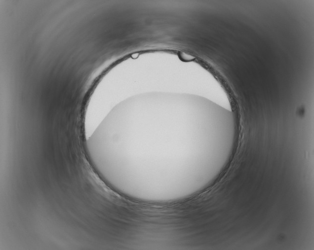 X0000116151460201001041043