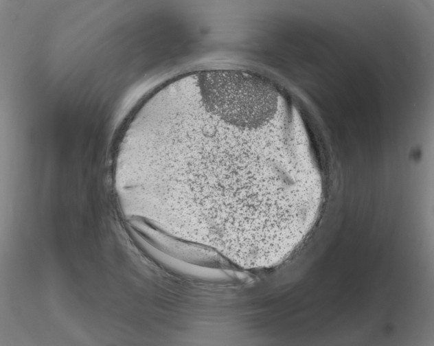 X0000116151461201001041043