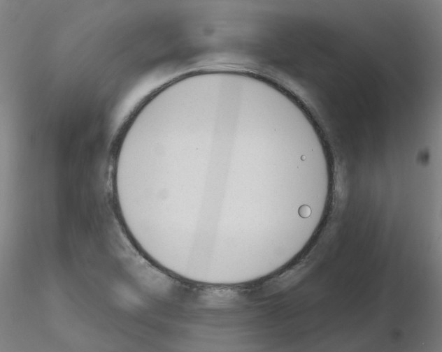 X0000116151462201001041043