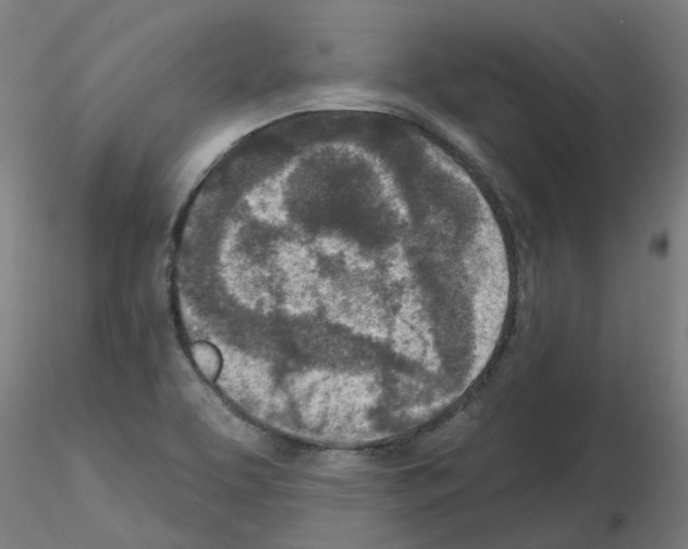 X0000116151463201001041043