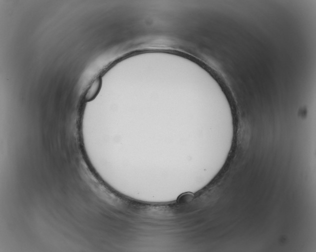 X0000116151464201001041043