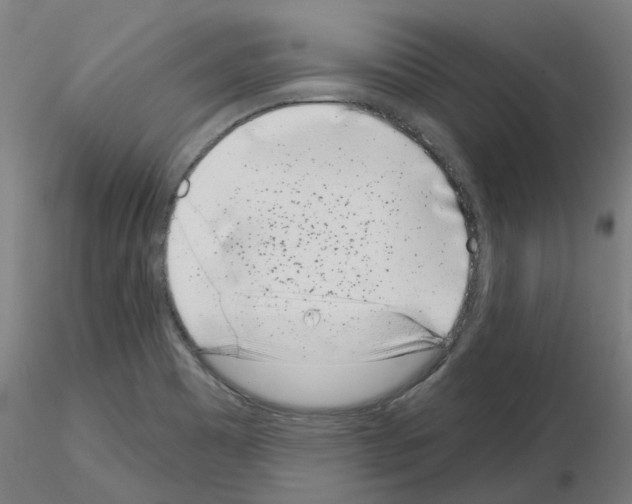 X0000116151465201001041043