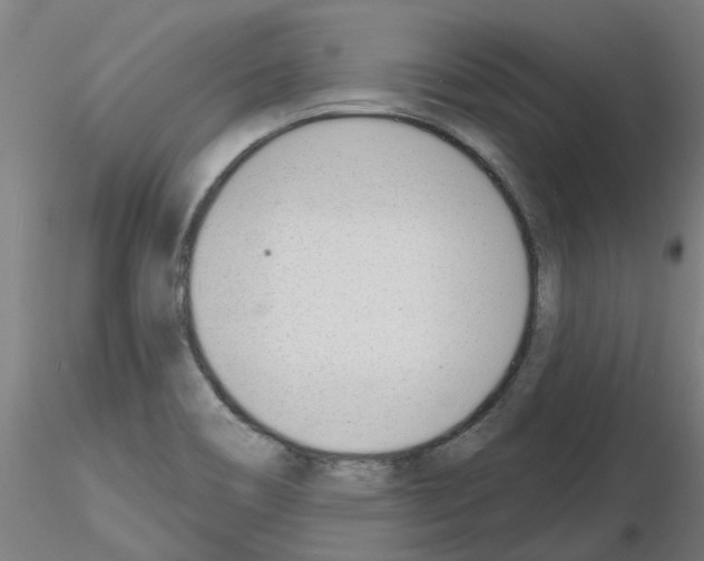 X0000116151466201001041043