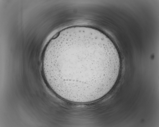 X0000116151467201001041043