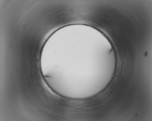 X0000116151468201001041043