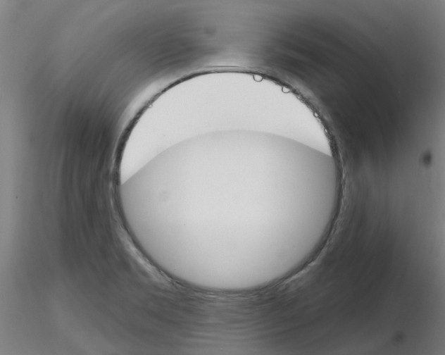 X0000116151469201001041043