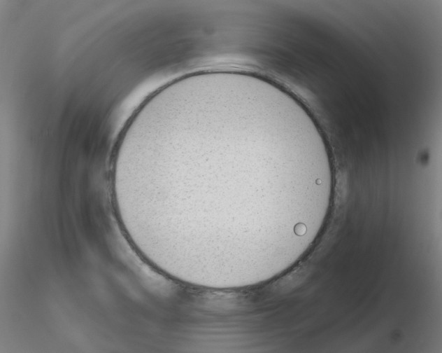 X0000116151470201001041043