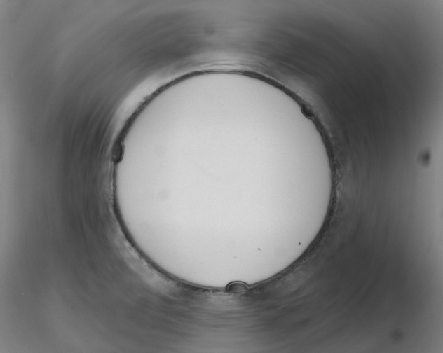 X0000116151472201001041043