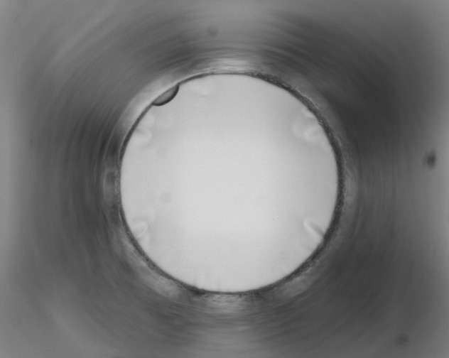 X0000116151473201001041043