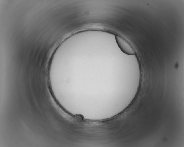 X0000116151475201001041043