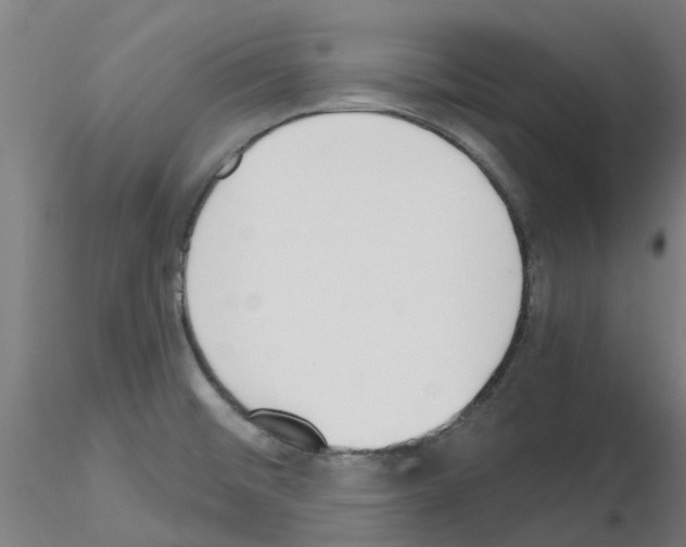 X0000116151476201001041043