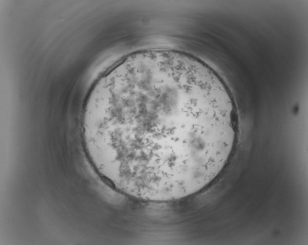 X0000116151477201001041043