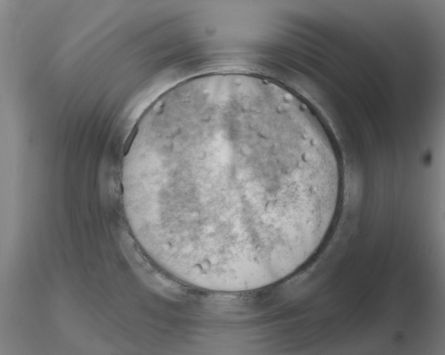 X0000116151481201001041043