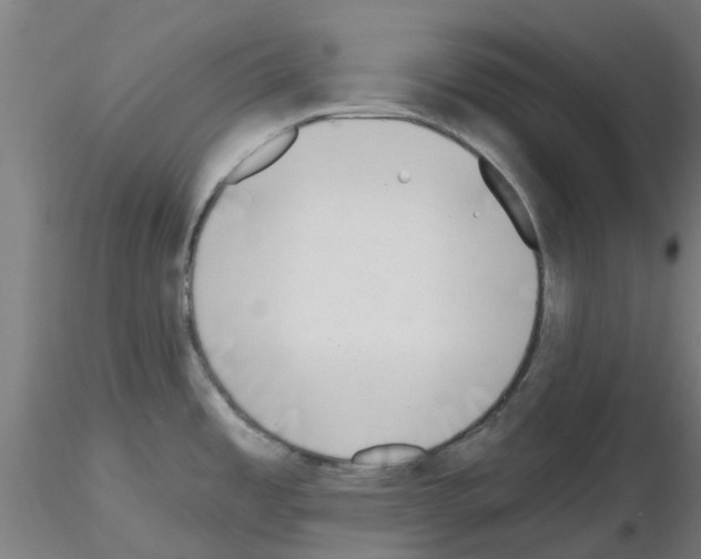 X0000116151485201001041043