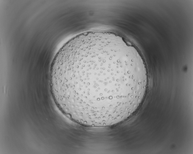 X0000116151487201001041043